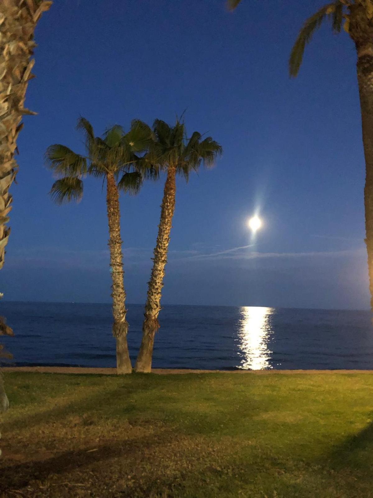דירות אורופסה דל מר Regata Playa מראה חיצוני תמונה